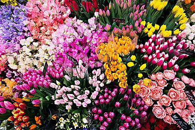 Unity威胁撤销《DayZ》开发者工作室的软件授权